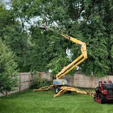 Best Storm Damage Tree Cleanup  in Bermuda Run, NC