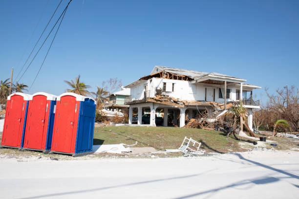 Bermuda Run, NC Tree Removal Company